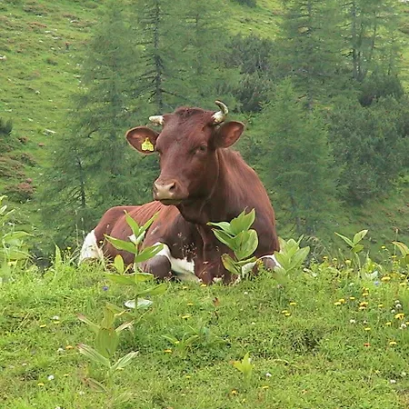 Gæstehus Bartlbauer 4*