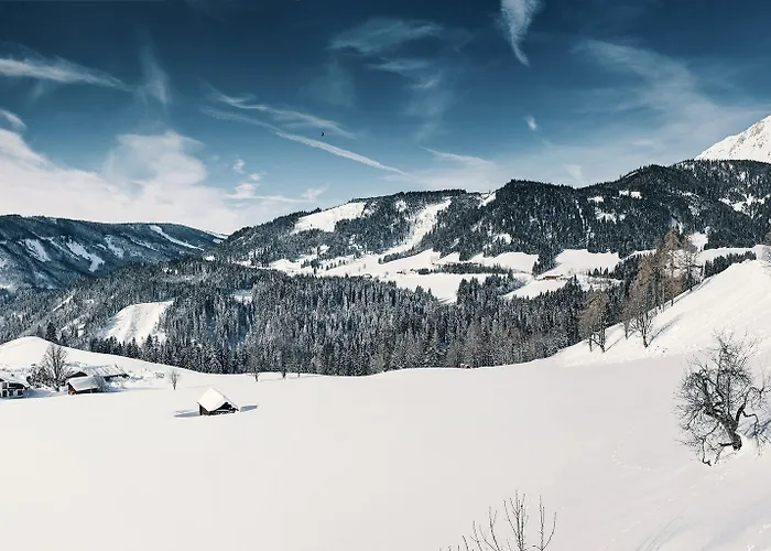 Bartlbauer 람자우 암 다흐스타인